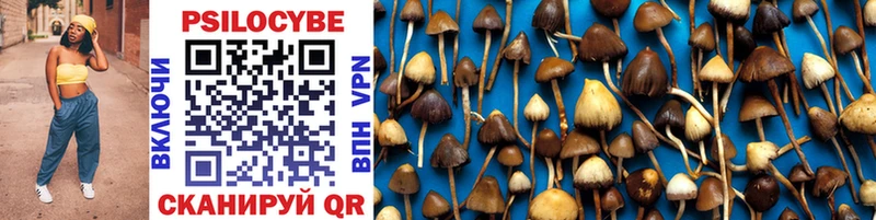 Псилоцибиновые грибы MAGIC MUSHROOMS даркнет сайт omg ТОР Геленджик